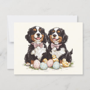 Påsk Bernese Mountain Hundar Påskägg Vykort