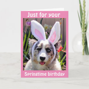 ***PÅSK BIRTHDAY*** TOG UT MITT ÖRON FÖR "DU" KORT