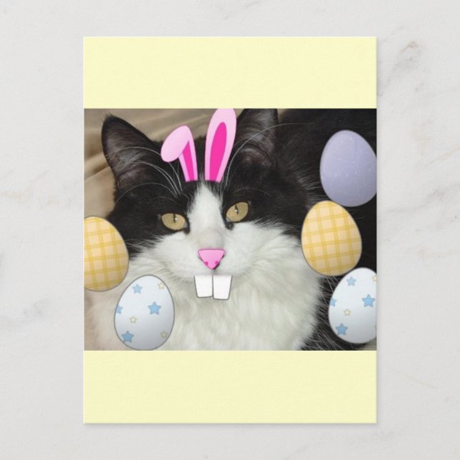 Påsk Black and White Kattunge Helg Vykort (Framsida)