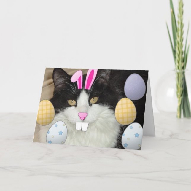 Påsk Black & White Cat Helgkort (Framsida)