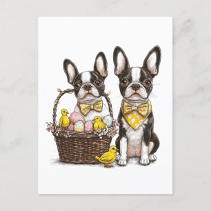 Påsk Boston Terrier Hundar Helg Vykort