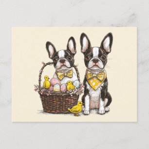 Påsk Boston Terrier Hundar Vykort