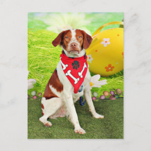 Påsk - Brittany Spaniel - Elliott Helg Vykort