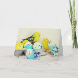 Påsk Budgies Helgkort