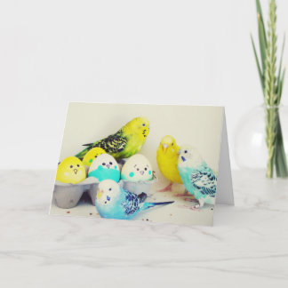 Påsk Budgies Helgkort