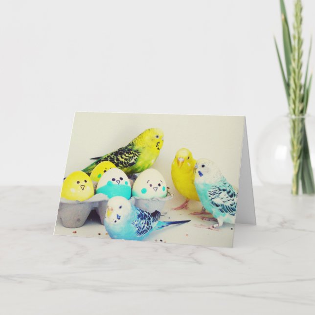 Påsk Budgies Helgkort (Framsida)