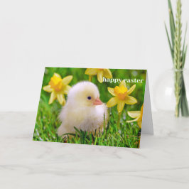 Påsk Card - Duckling i Fält på Daffodils Helgkort