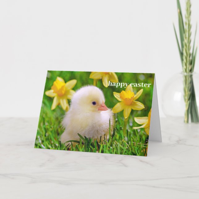 Påsk Card - Duckling i Fält på Daffodils Helgkort (Framsida)