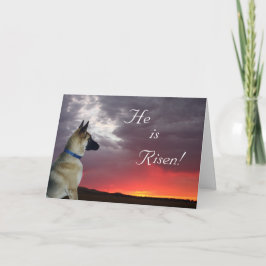 Påsk Card German Shepherd Matthew 28:6 Helgkort