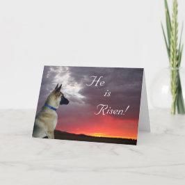 Påsk Card German Shepherd Matthew 28:6 Helgkort
