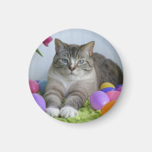 Påsk Cat Classic Round Sticker Mason Burk Stone C Magnet