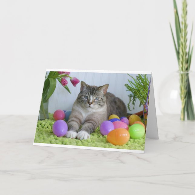 Påsk Cat Helgkort (Framsida)
