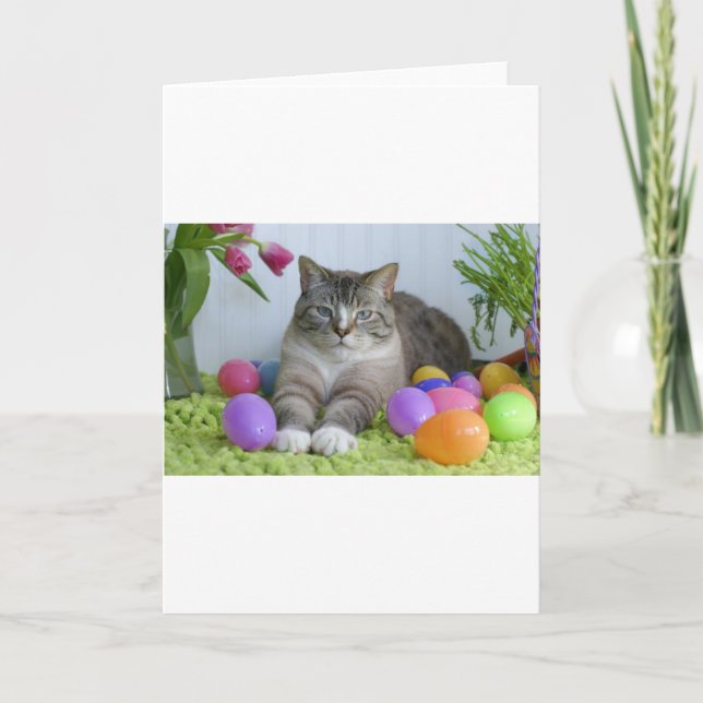 Påsk Cat Helgkort (Framsida)