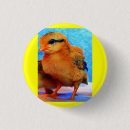 Påsk Chick-A-dee-Light Knapp