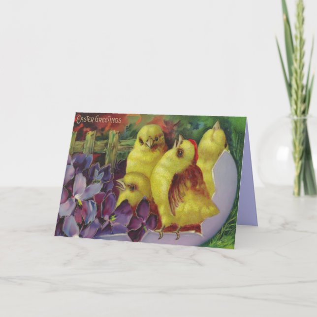 Påsk Chick Hälsning Helgkort (Framsida)