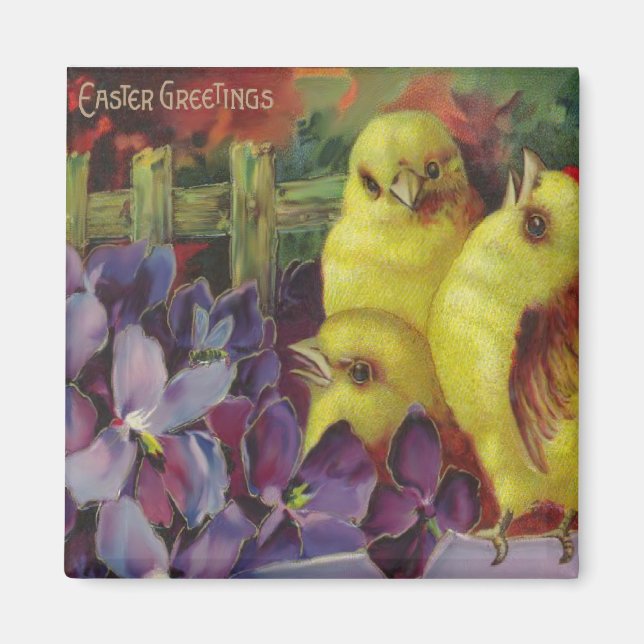 Påsk Chick Hälsning Magnet (Framsidan)