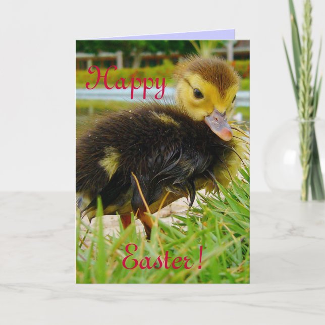 Påsk Chick Helgkort (Framsida)