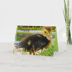 PÅSK CHICK II HELGKORT