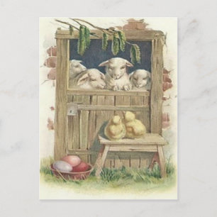 Påsk Chick Lamb Barn-Färgad, målat ägg Helg Vykort