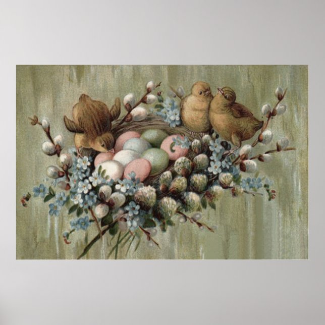 Påsk Chick Nest Färgad Egg Glöm-Me-nots Poster (Framsidan)