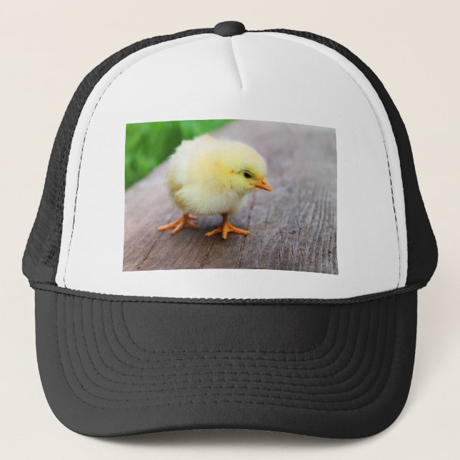Påsk Chick Truckerkeps (Framsida)