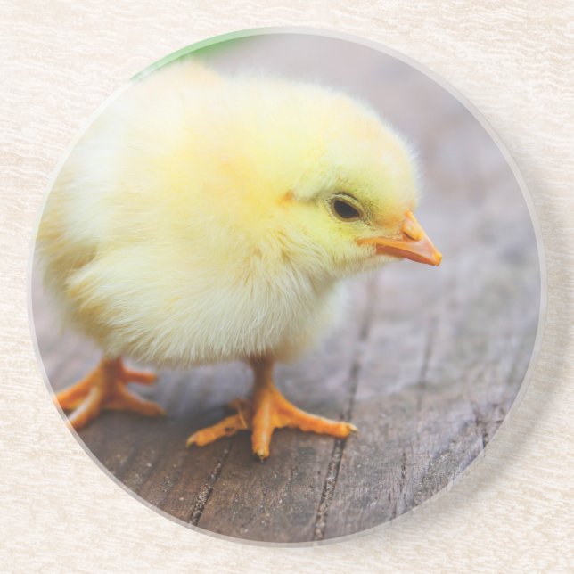 Påsk Chick Underlägg (Framsidan)