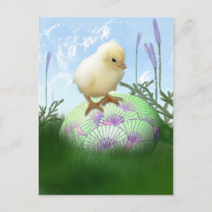 Påsk Chick vykort