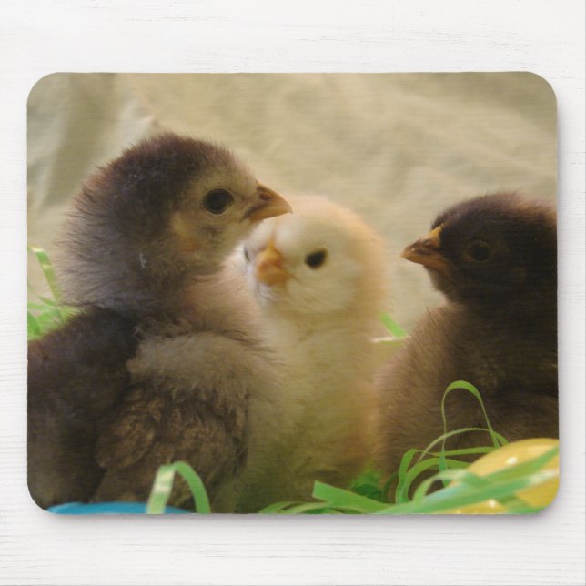 Påsk Chickens Musmatta (Framsidan)
