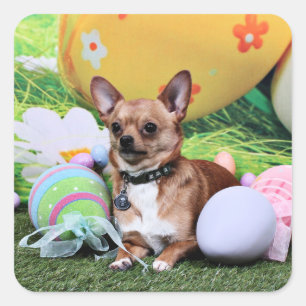 Påsk - Chihuahua - Rambo Fyrkantigt Klistermärke