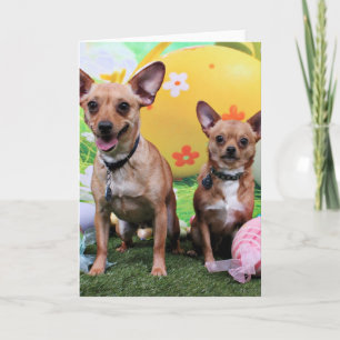 Påsk - Chipin Rockwell - Chihuahua Rambo Helgkort