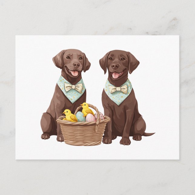 Påsk Chocolate Labrador Retriever Hundar Vykort (Framsida)