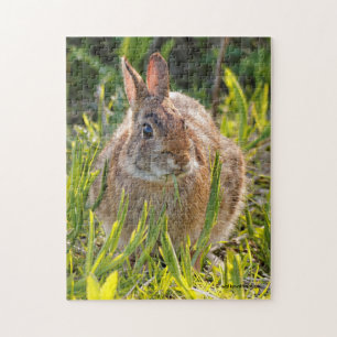 Påsk Cottontail-kanin i Grass Pussel