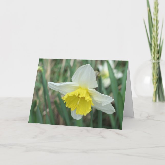 Påsk Daffodil Helgkort (Framsida)