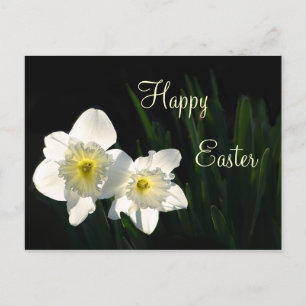 Påsk daffodils helg vykort