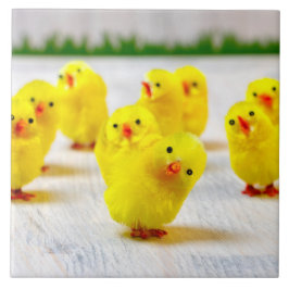 PÅSK DEKORATION - CHICKAR KAKELPLATTA