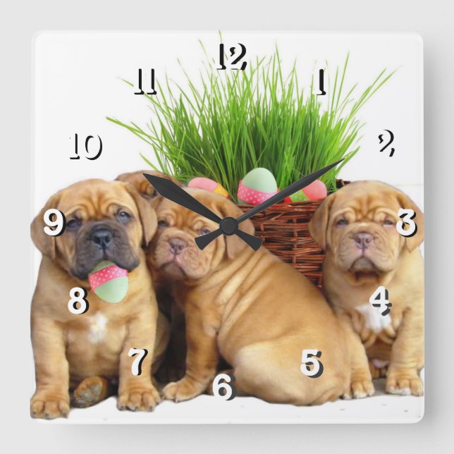 Påsk Dogue de Bordeaux hund Fyrkantig Klocka (Framsida)