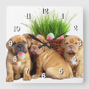 Påsk Dogue de Bordeaux hund Fyrkantig Klocka