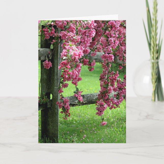 Påsk Dogwood Helgkort (Framsida)