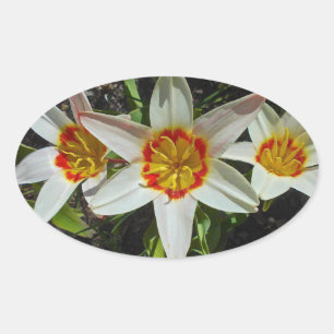 Påsk Flowers Ovalt Klistermärke