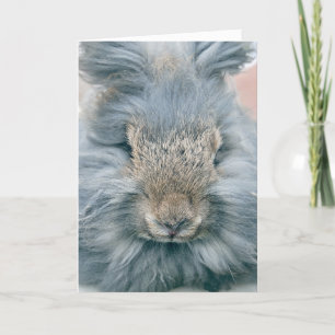 Påsk Grått Bunny Helgkort