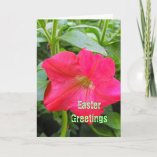 Påsk hälsning, Glad påsk, rödpetensblomma. Helgkort