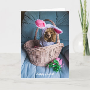 PÅSK HUND i BASKET Helgkort