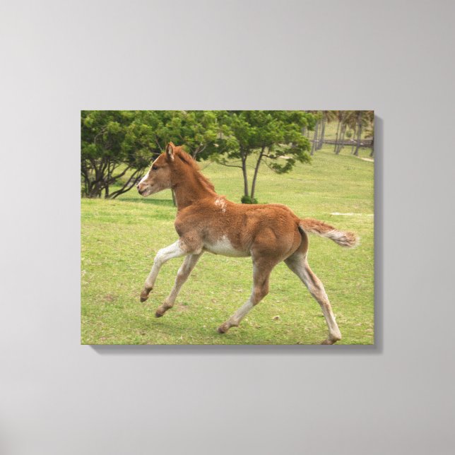 Påsk Island alias Rapa Nui Canvastryck (Framsida)