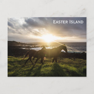 Påsk Island Horses Travel Photo Vykort