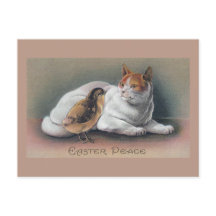 Påsk Katt och Chick