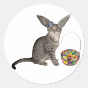 Påsk Kitten Stickers Runt Klistermärke