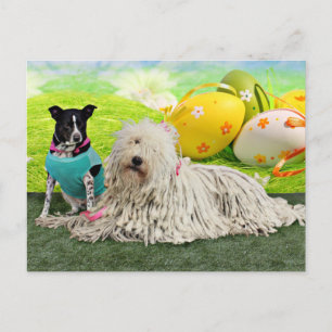 Påsk - Komondor - Zoey - Basenji X - Jasper Helg Vykort