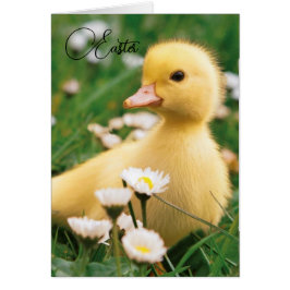 Påsk-kort - Cute Duckling Hälsningskort