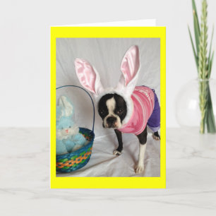 Påsk-kort med Boston Terrier Bunny Helgkort