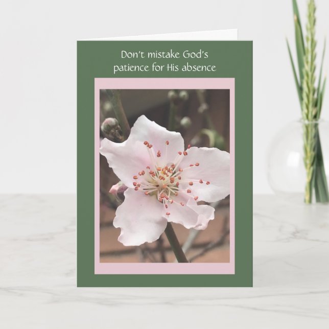 Påsk-kort, Rosa Peach-Blommar, Deuteronomy Verse Helgkort (Framsida)